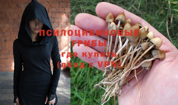 спайс Медвежьегорск