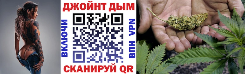 Купить где  Андреаполь  Канабис индика 